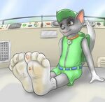 Rocky's Sockies by SodiePawp -- Fur Affinity dot net